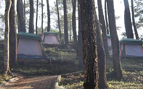 Great Panorama Lodge And Camp By Mhm