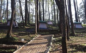 Great Panorama Lodge And Camp By Mhm